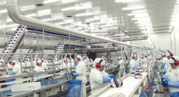 Com liberação de R$ 440 milhões, FCO pode gerar 777 novos empregos em Goiás